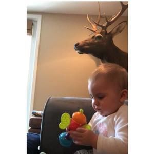 Meet your Posher, Paul